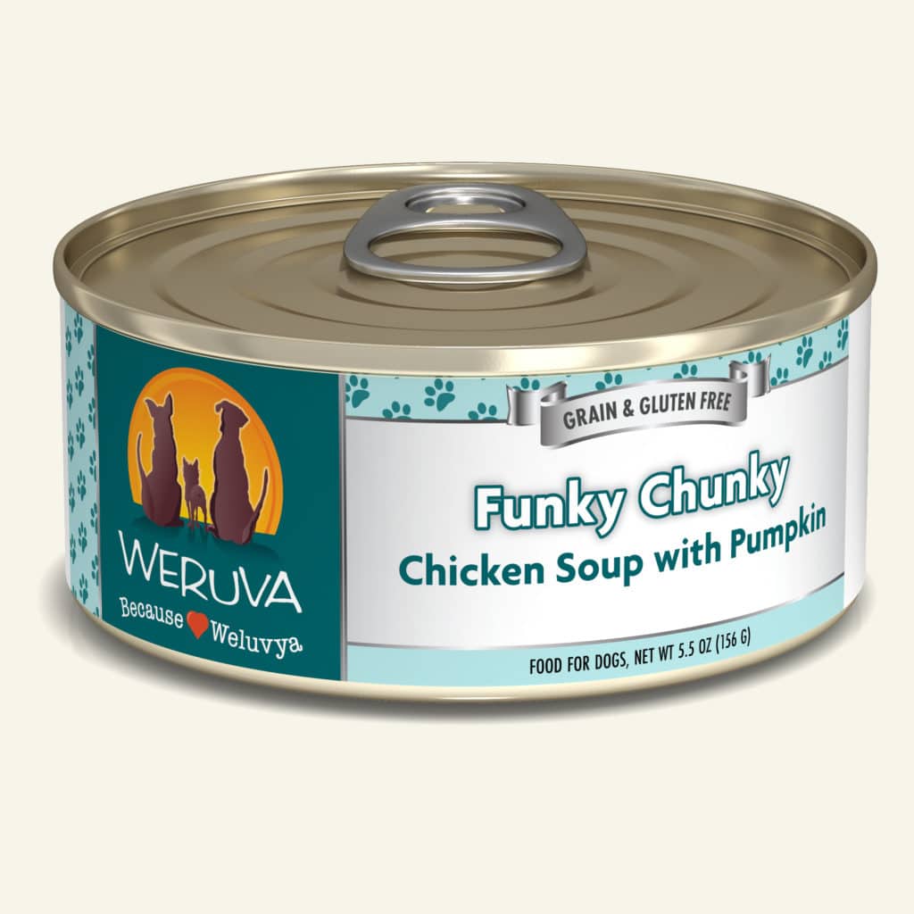 Funky Chunky Chicken Soup with Pumpkin