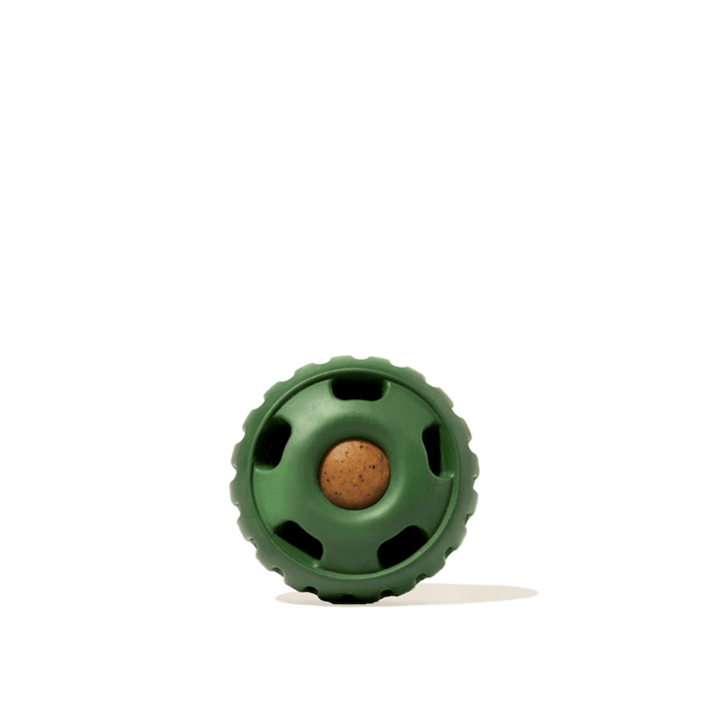 The Pupsicle: Large