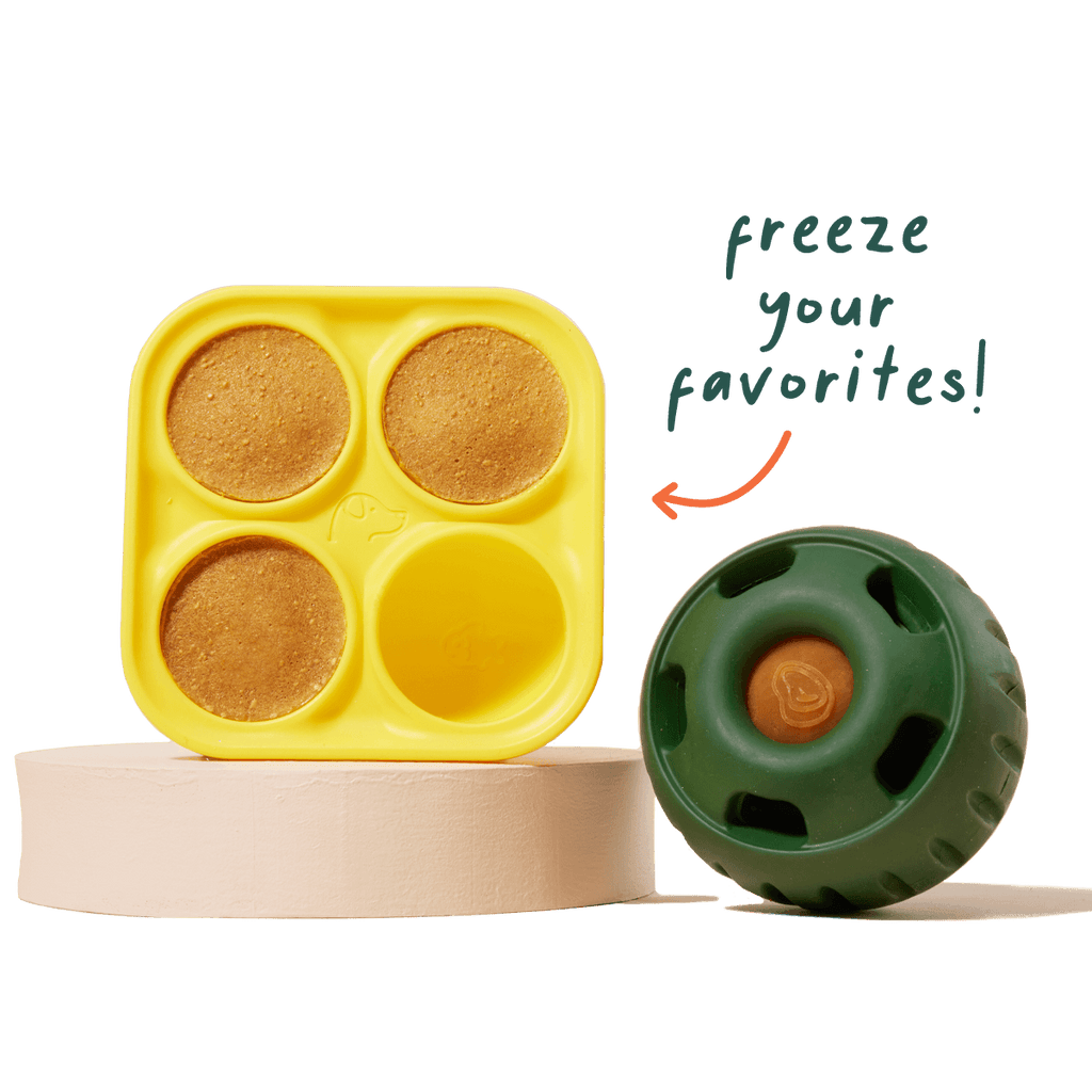 Pupsicle Treat Tray: Extra Large