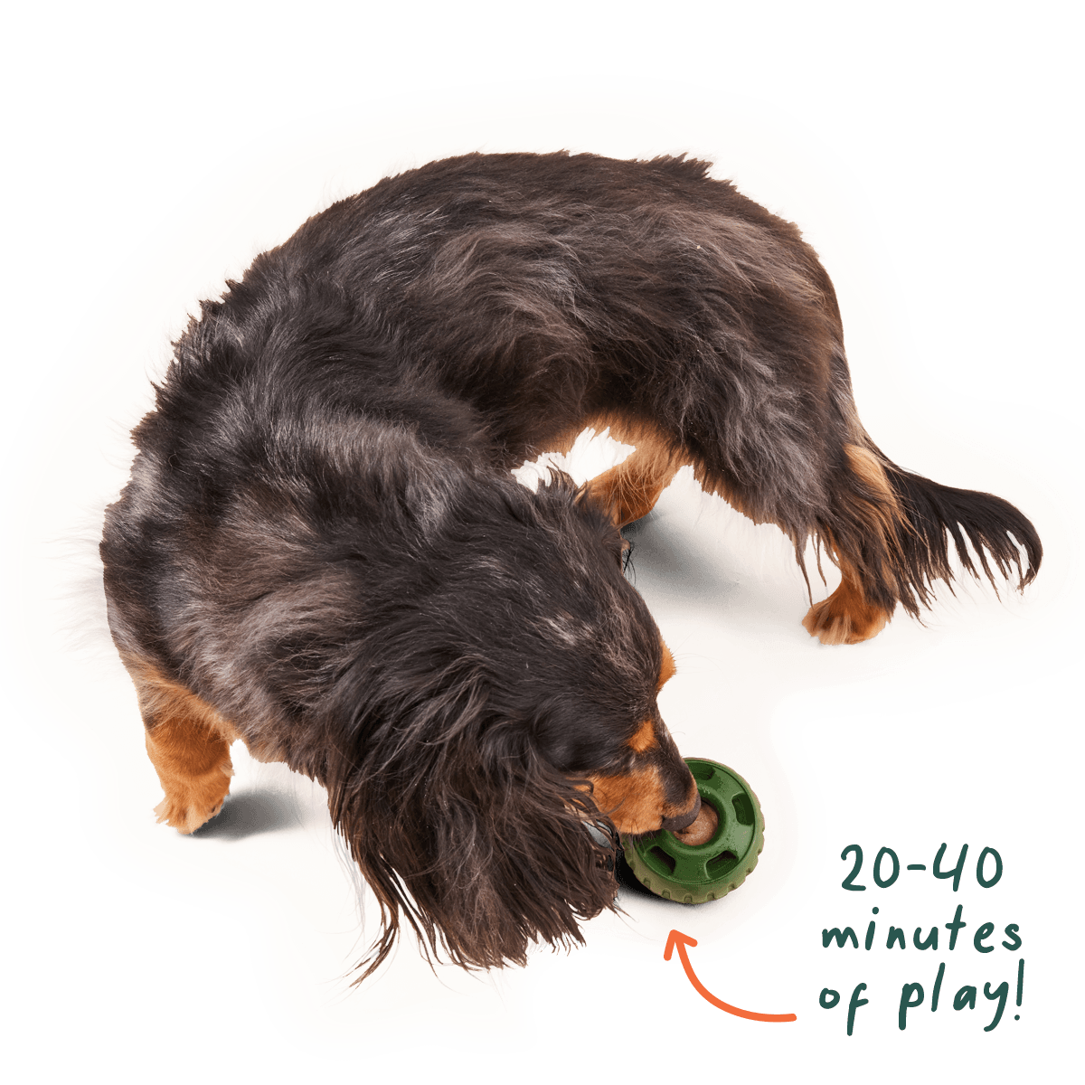 Pupsicle Pops: Beef / Large
