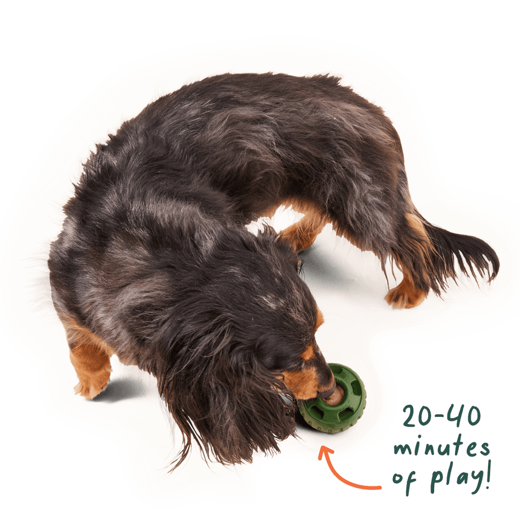 Pupsicle Pops: Beef / Small