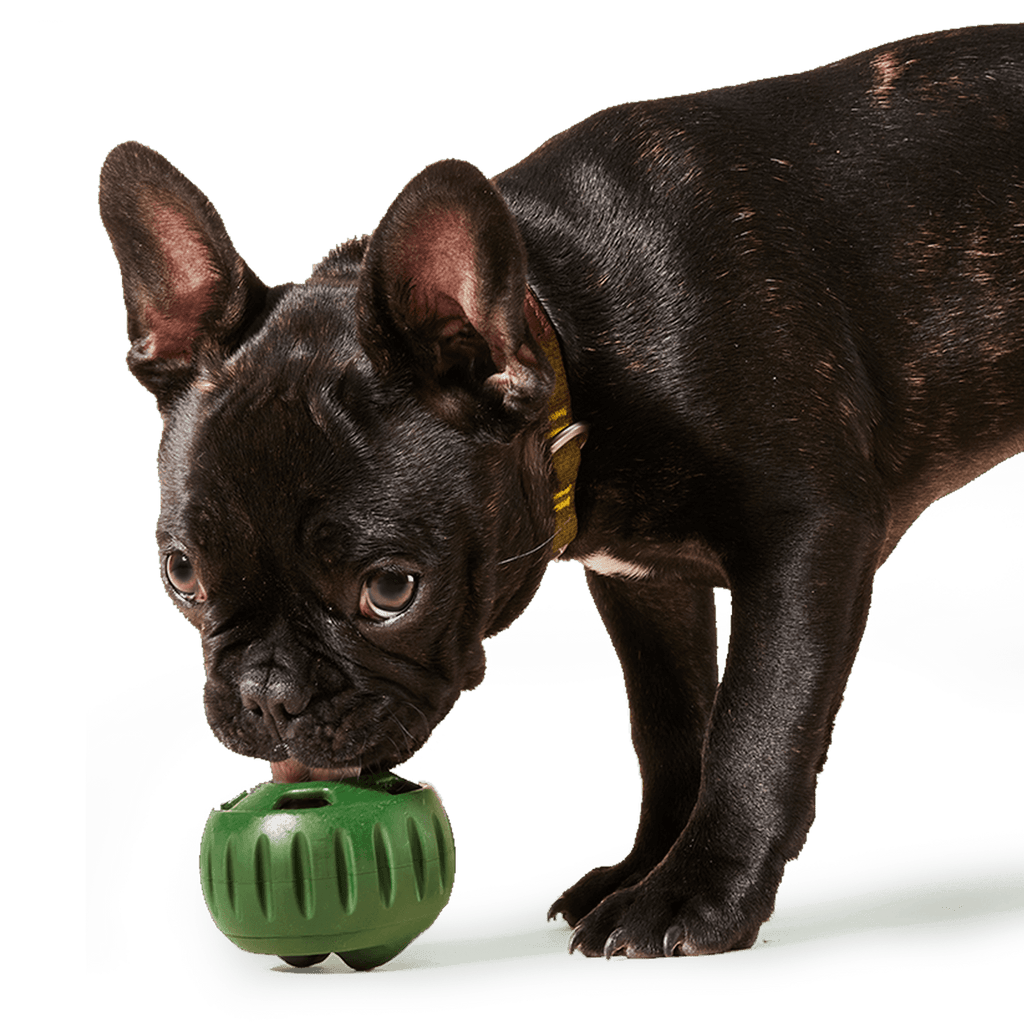 Pupsicle Pops: Beef / Extra Large