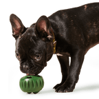 The Pupsicle: Large