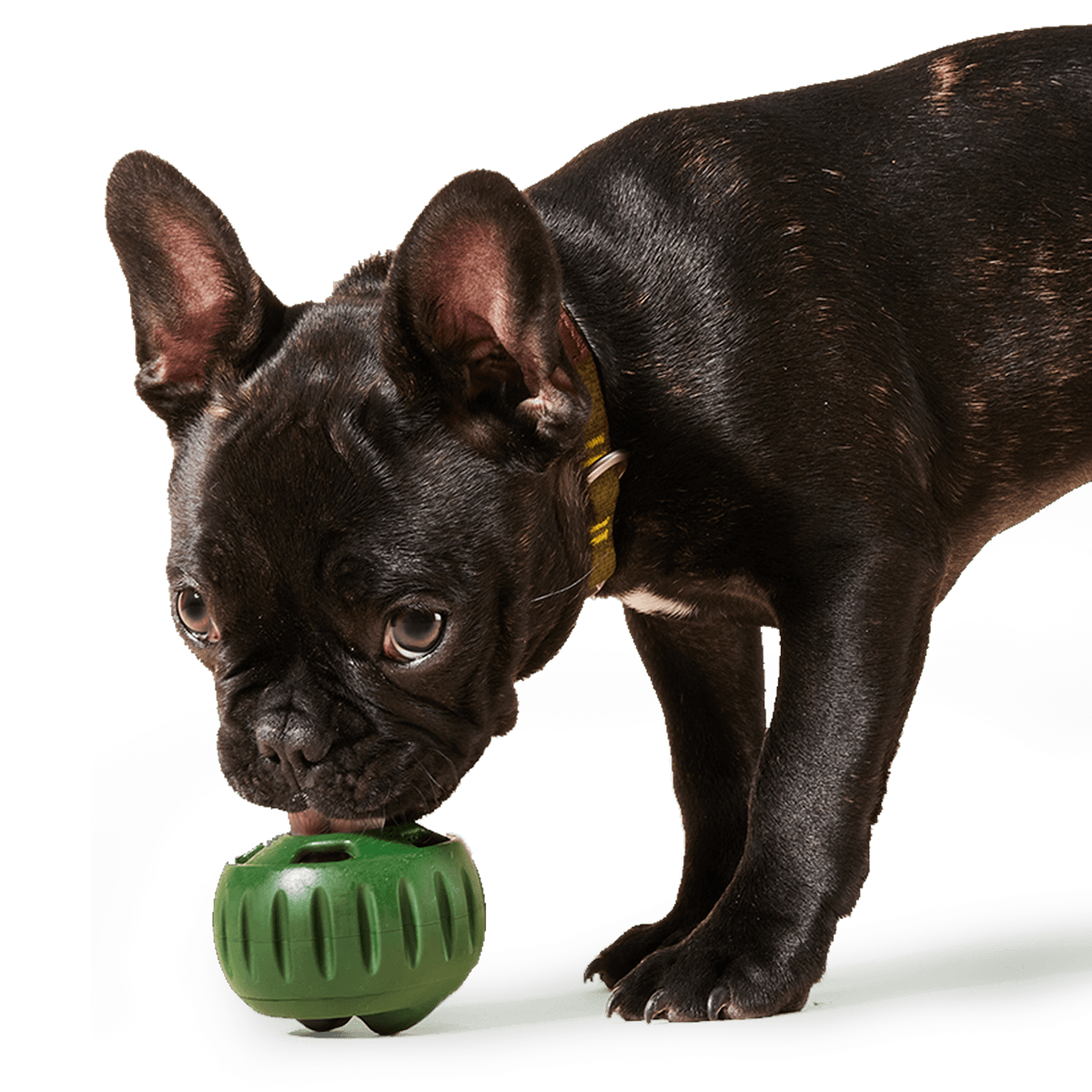Pupsicle Pops: Beef / Small
