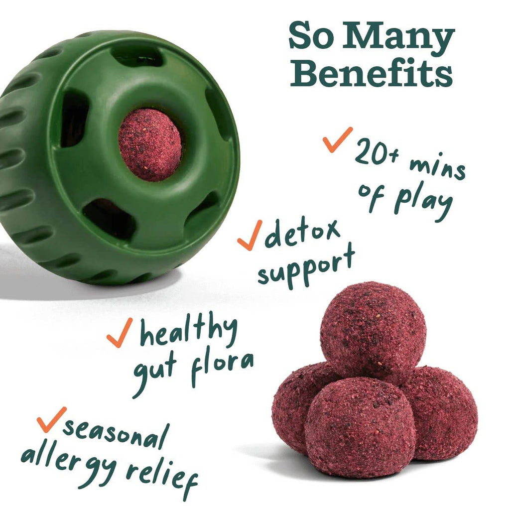Allergy & Immunity Wellness Pops: Large