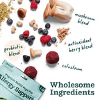 Allergy & Immunity Wellness Pops: Extra Large