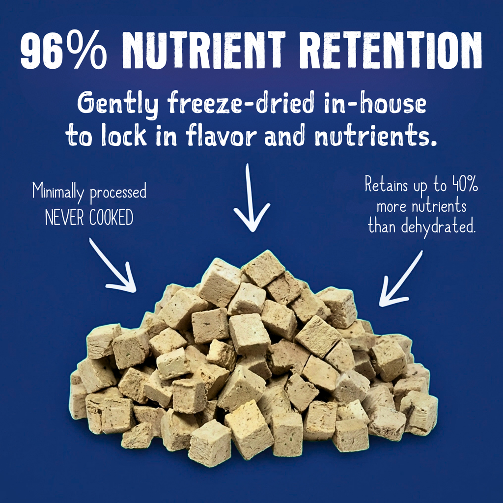 Freeze Dried Alligator Recipe for Dogs