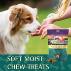 Salmon Formula Soft Moist Dog Treat