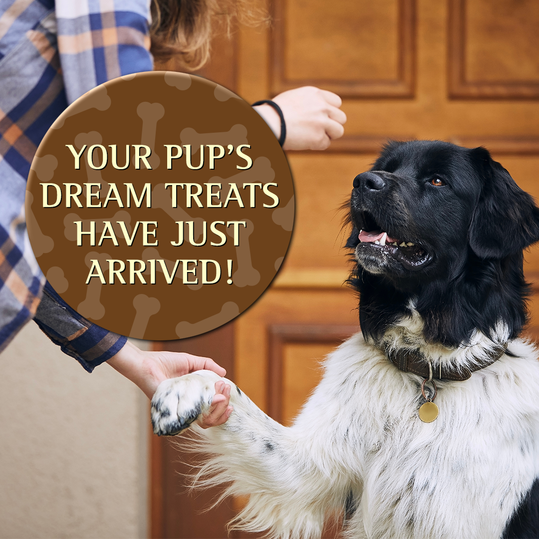 Pork Formula Soft Moist Dog Treat