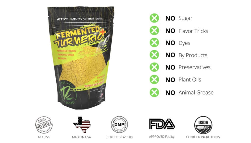 Fermented Turmeric Plus