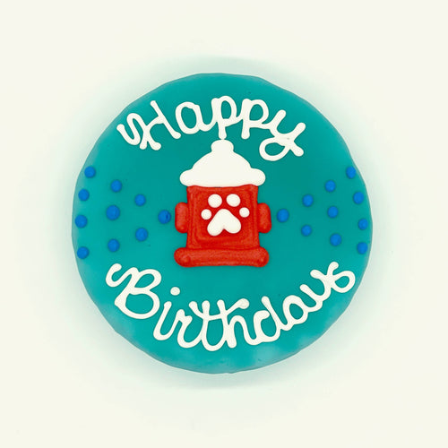 Bursting Hydrant Birthday Chewy Oat Cake