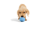 The Pupsicle - Wholesale Exclusive Color: Large