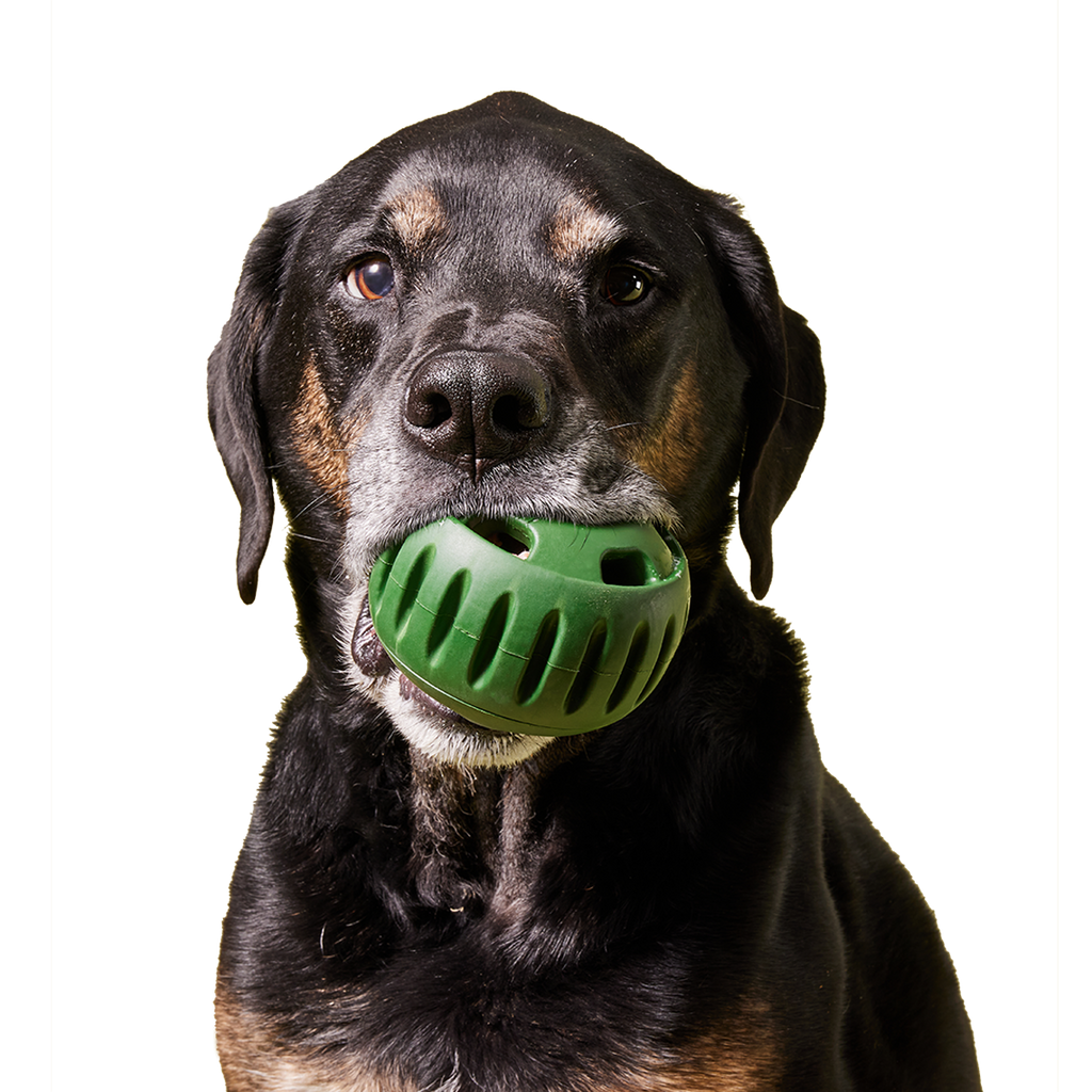The Pupsicle: Large