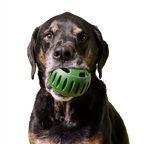 The Pupsicle: X-Large