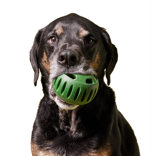 The Pupsicle: Small