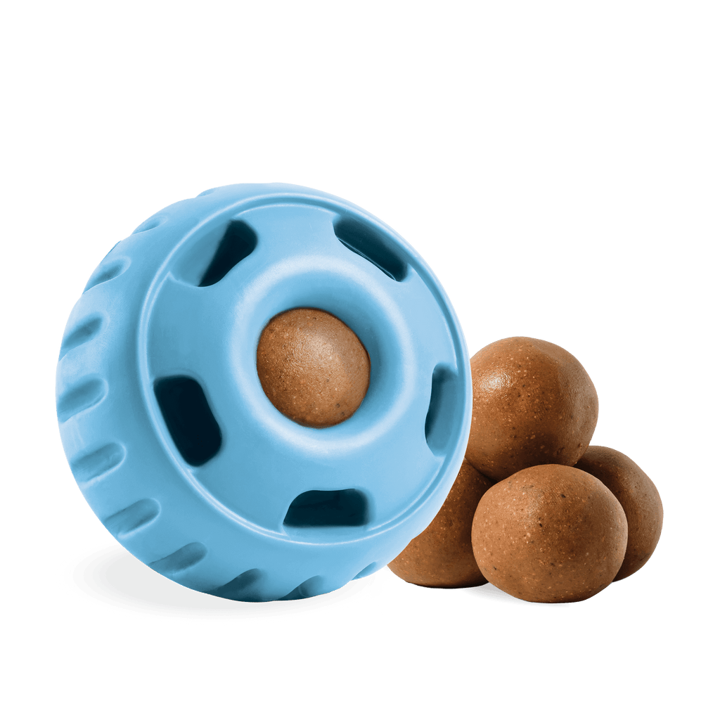 The Pupsicle - Wholesale Exclusive Color: Large