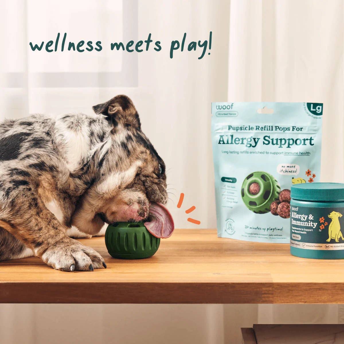Allergy & Immunity Wellness Pops: Extra Large