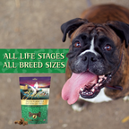 Duck Formula Soft Moist Dog Treat