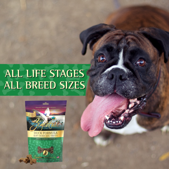 Duck Formula Soft Moist Dog Treat