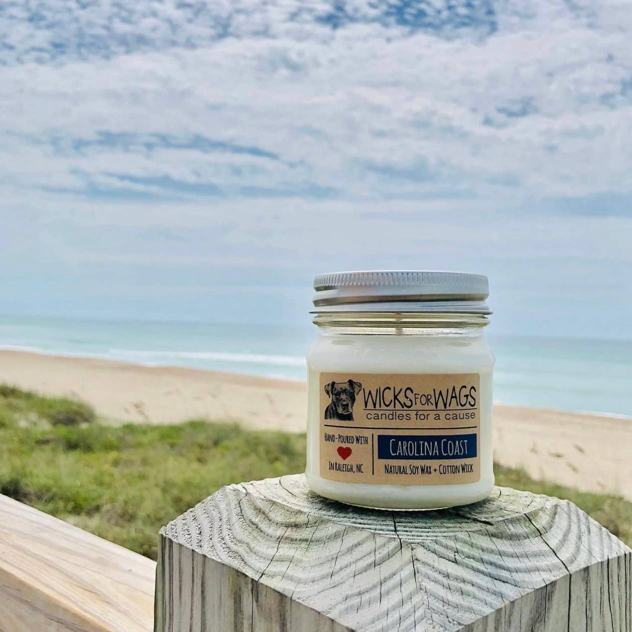 Crystal Coast | 8 oz Candle | Wicks for Wags Soy Candle