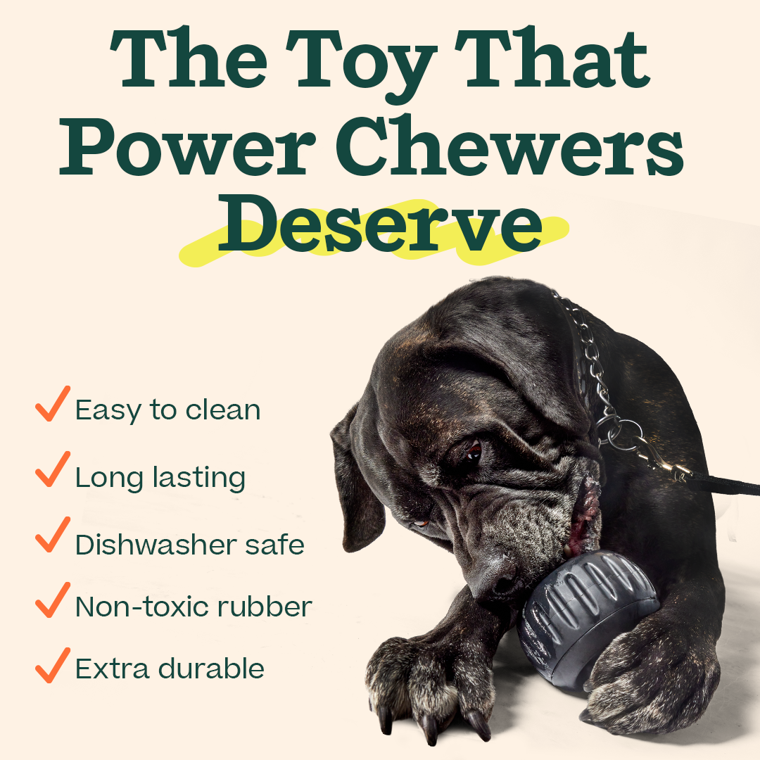 The 'Power Chewer' Pupsicle: Small