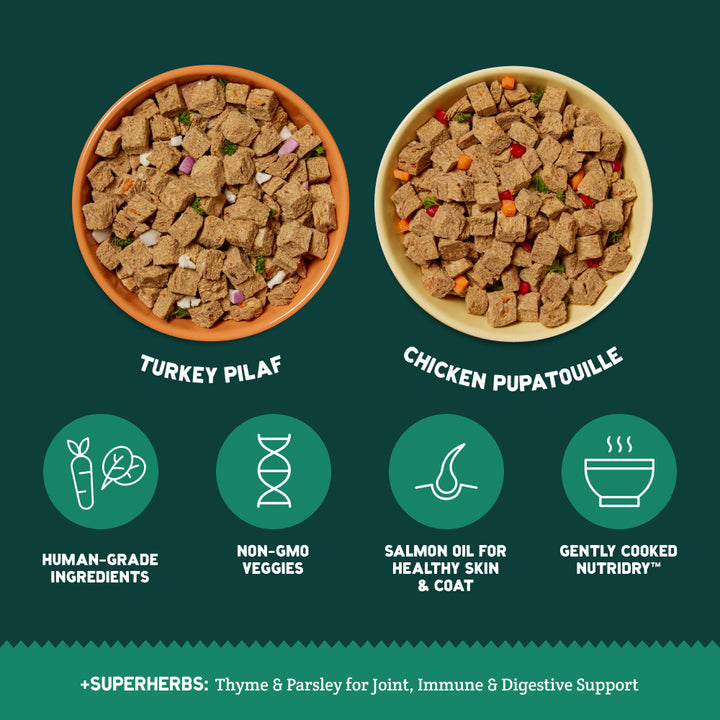 Sensitive Stomach Bundle Cubies