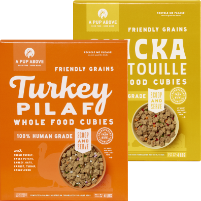 Sensitive Stomach Bundle Cubies