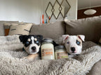 Crystal Coast | 8 oz Candle | Wicks for Wags Soy Candle