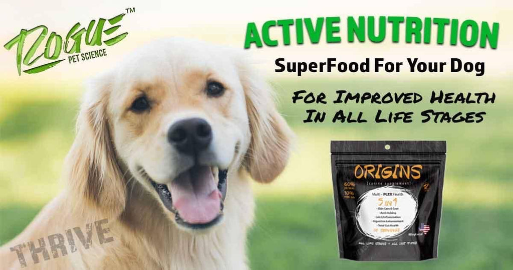 2 Lb Origins Supplement - also Pork & Turkey now in stock