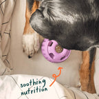 Calming Wellness Pops: Small