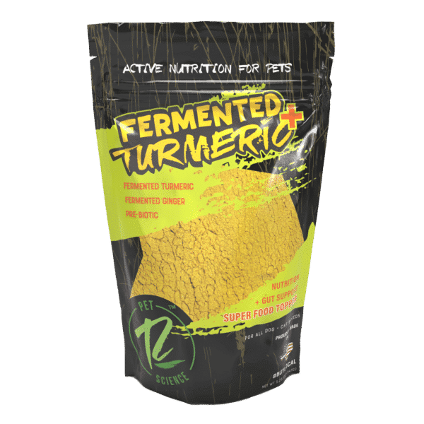 Fermented Turmeric Plus