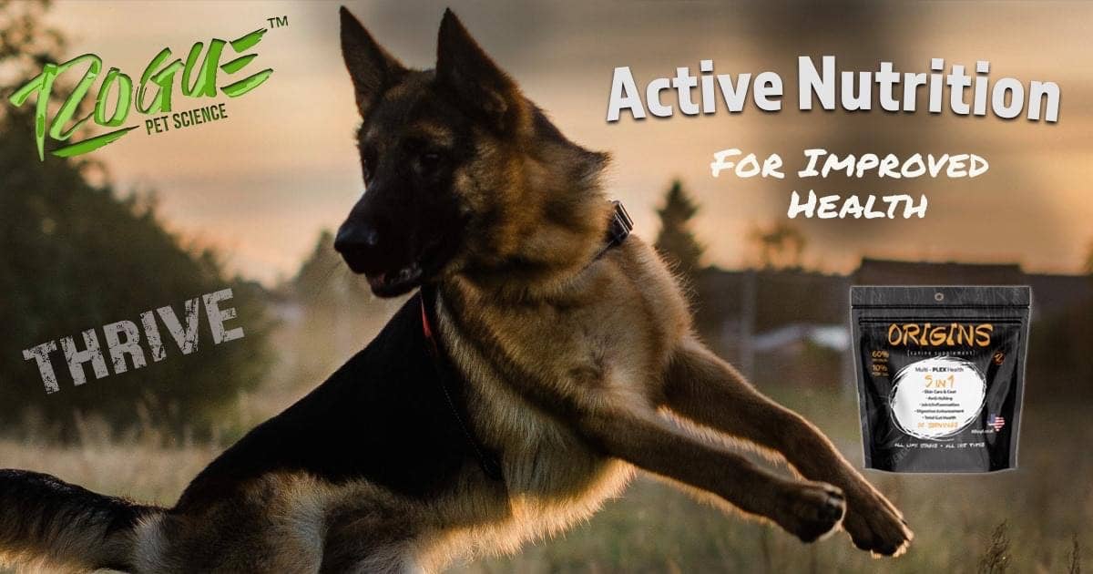 1/2 Lb Origins Supplement