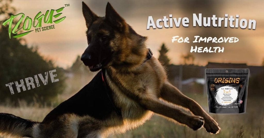 5 Lb Origins Supplement