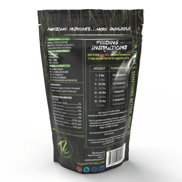 Fermented Turmeric Plus