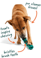 The Bite n' Brush: Small