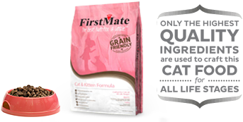 Grain Friendly Cat & Kitten Formula