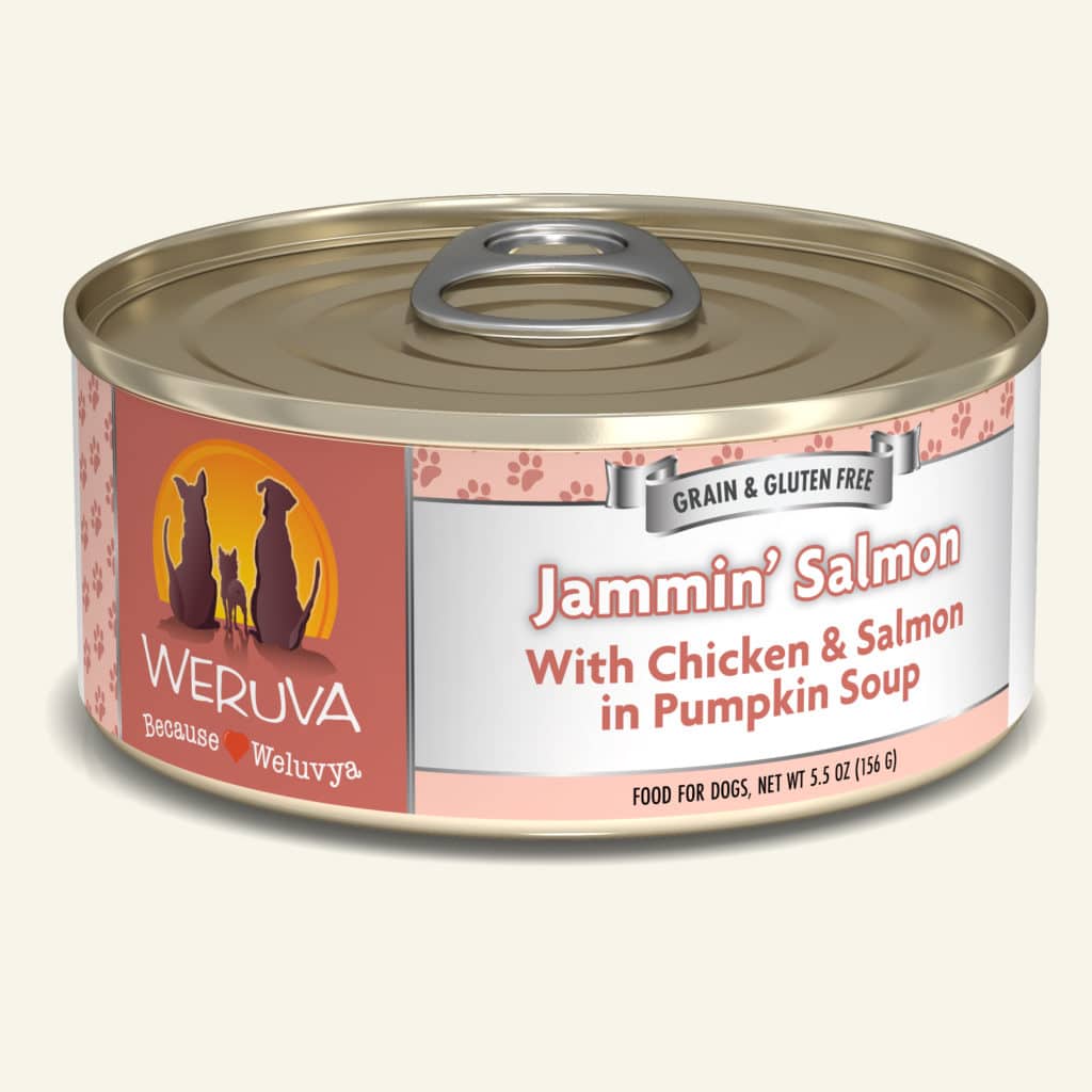 Jammin’ Salmon with Chicken & Salmon in Pumpkin Soup