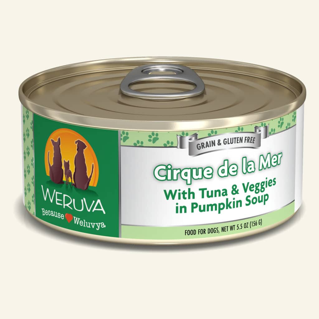 Cirque de la Mer with Tuna & Veggies in Pumpkin Soup