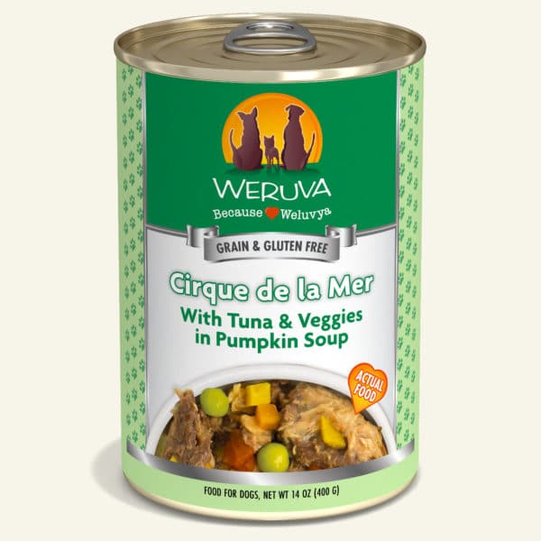 Cirque de la Mer with Tuna & Veggies in Pumpkin Soup