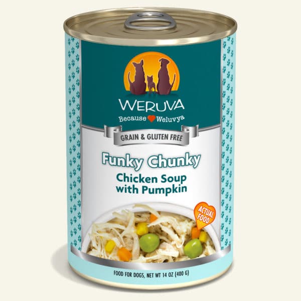Funky Chunky Chicken Soup with Pumpkin