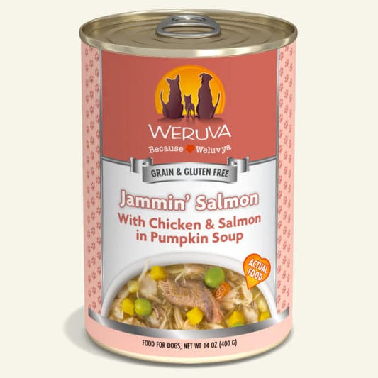 Jammin’ Salmon with Chicken & Salmon in Pumpkin Soup