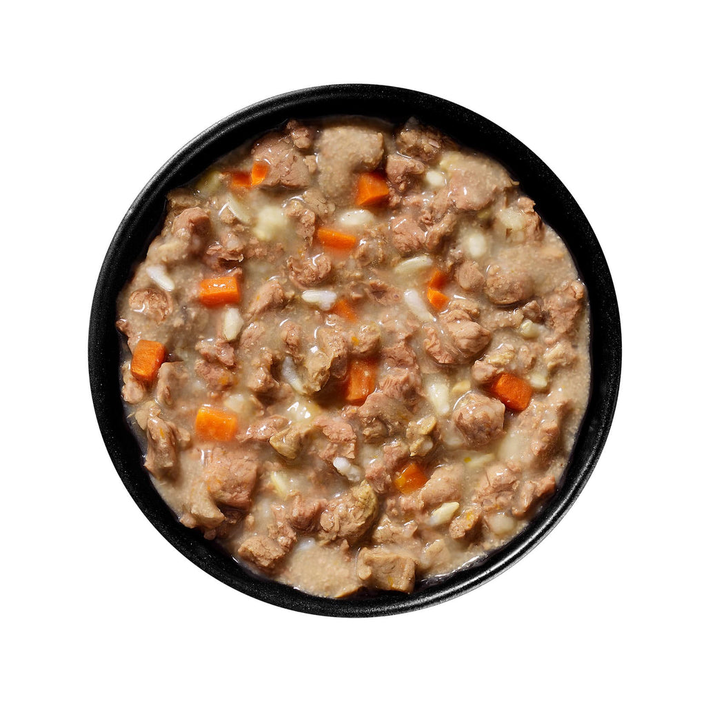 GO! SKIN + COAT CARE Minced Chicken Recipe With Grains for Cats