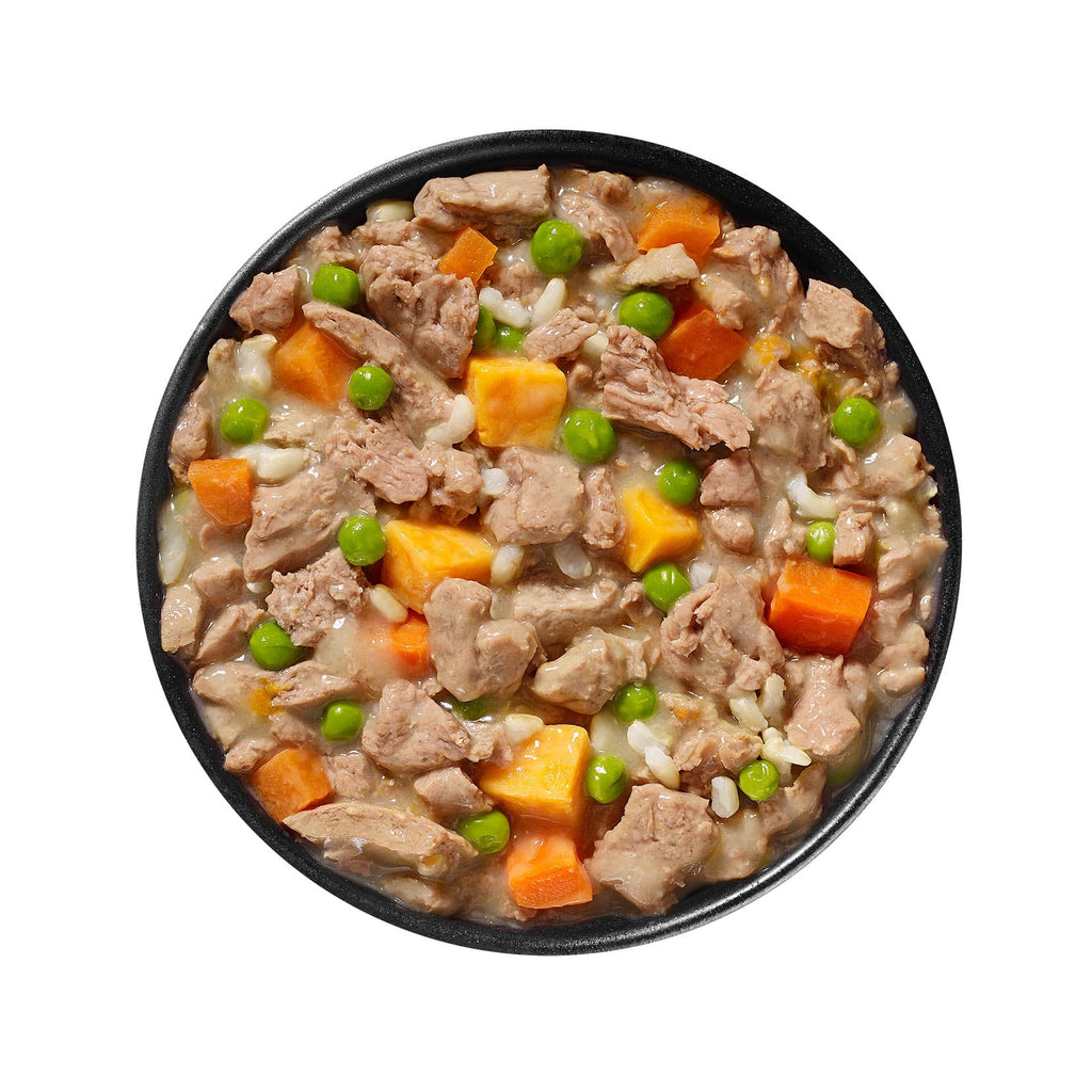 GO! SKIN + COAT CARE Shredded Chicken Recipe for Dogs 