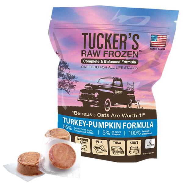 Turkey-Pumpkin for Cats