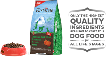 Grain Free Cage Free Duck Meal & Pumpkin Formula Small Bites