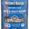 NW Naturals Raw Beef & Trout Recipe  cat