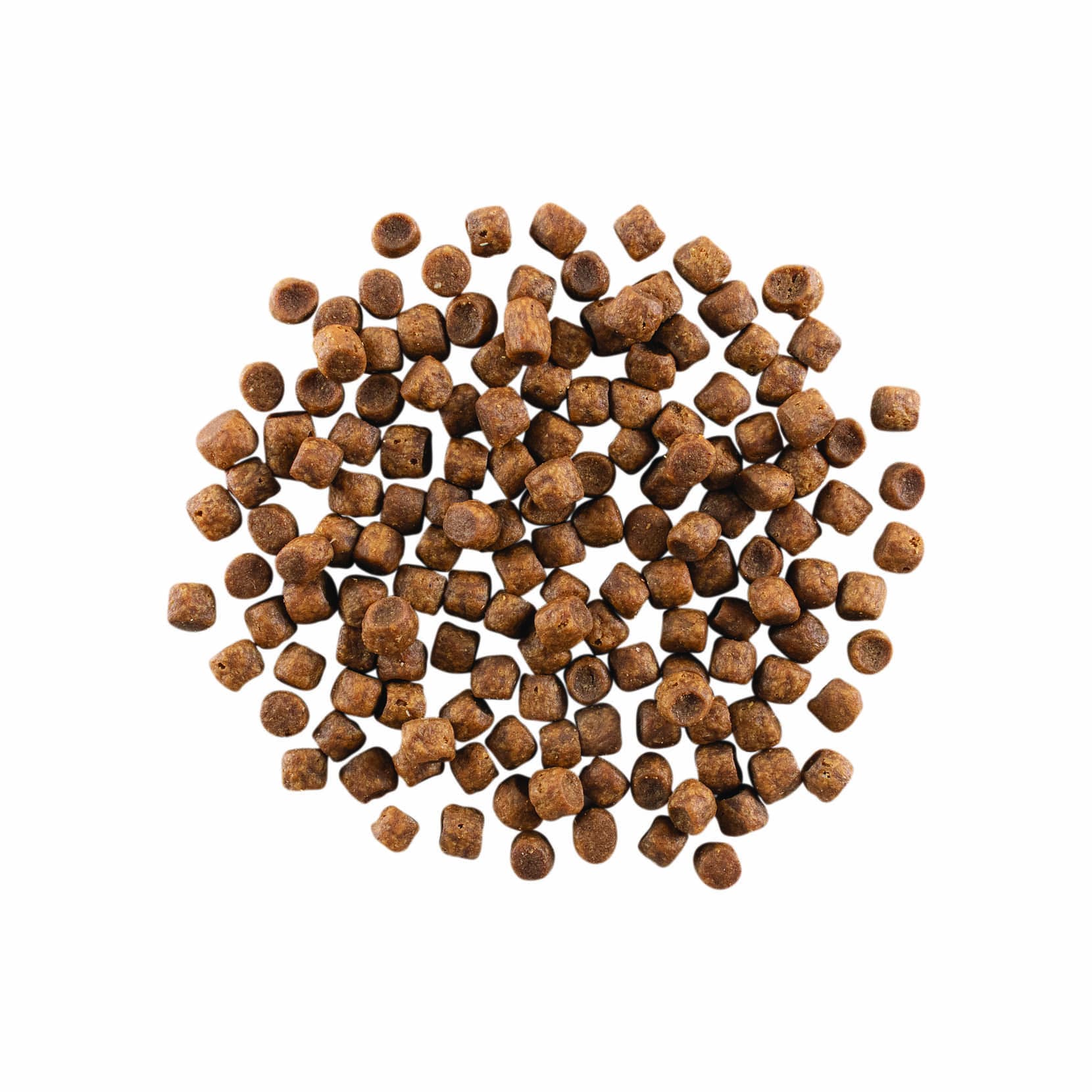 GO! CARNIVORE Grain Free Chicken, Turkey + Duck Recipe for Cats 