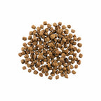 GO! CARNIVORE Grain Free Lamb + Wild Boar Recipe for Cats 