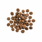 GO! CARNIVORE Grain Free Lamb + Wild Boar Recipe for Dogs 