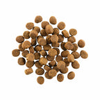 GO! CARNIVORE Grain Free Salmon + Cod Recipe for Dogs 